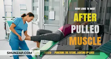 Pulled Muscle Recovery: Optimal Rest Time for Safe Healing