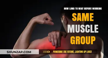 Optimal Muscle Recovery: Timing Your Workouts for Maximum Gains