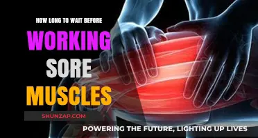 Sore Muscles Recovery: Timing Your Return to Workouts Safely