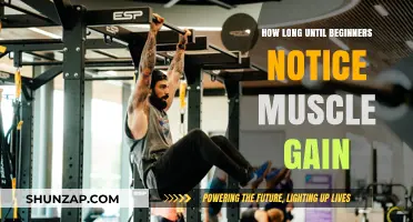 When Will Beginners See Muscle Growth Results? A Timeline Guide