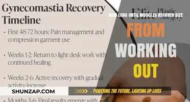 Muscle Recovery Timeline: Regaining Size After Intense Workouts Explained