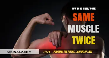 Optimal Muscle Recovery: Timing Your Workouts for Same-Muscle Training