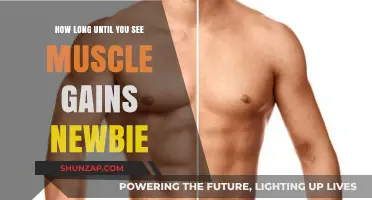 Newbie's Guide: Timeline for Visible Muscle Gains and Progress
