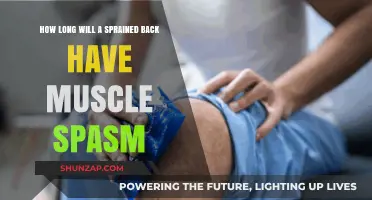 Understanding Sprained Back Recovery: Muscle Spasms Timeline