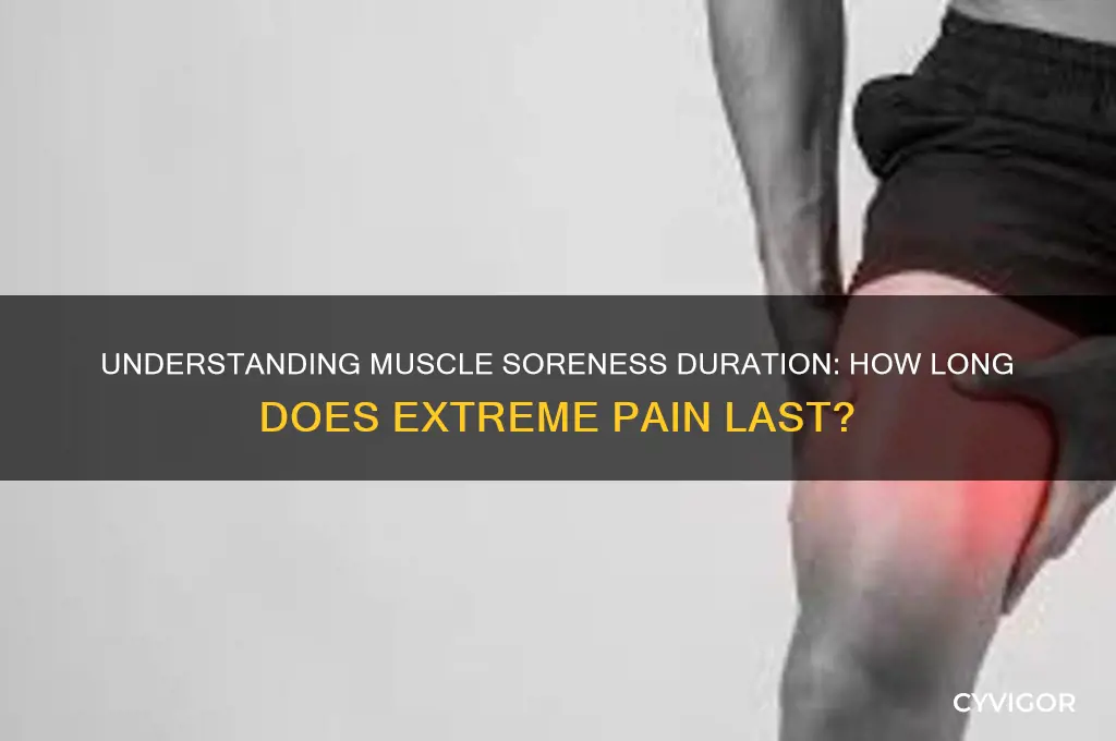 how long will muscles be extremely sore