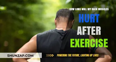 Post-Workout Back Pain: How Long Will the Soreness Last?