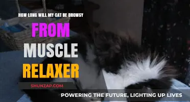 How Long Does Muscle Relaxer Drowsiness Last in Cats?