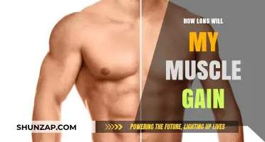 Muscle Gain Timeline: Factors Affecting Your Progress and Results