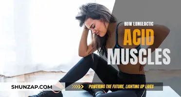 Lactic Acid's Impact: Understanding Muscle Recovery and Performance