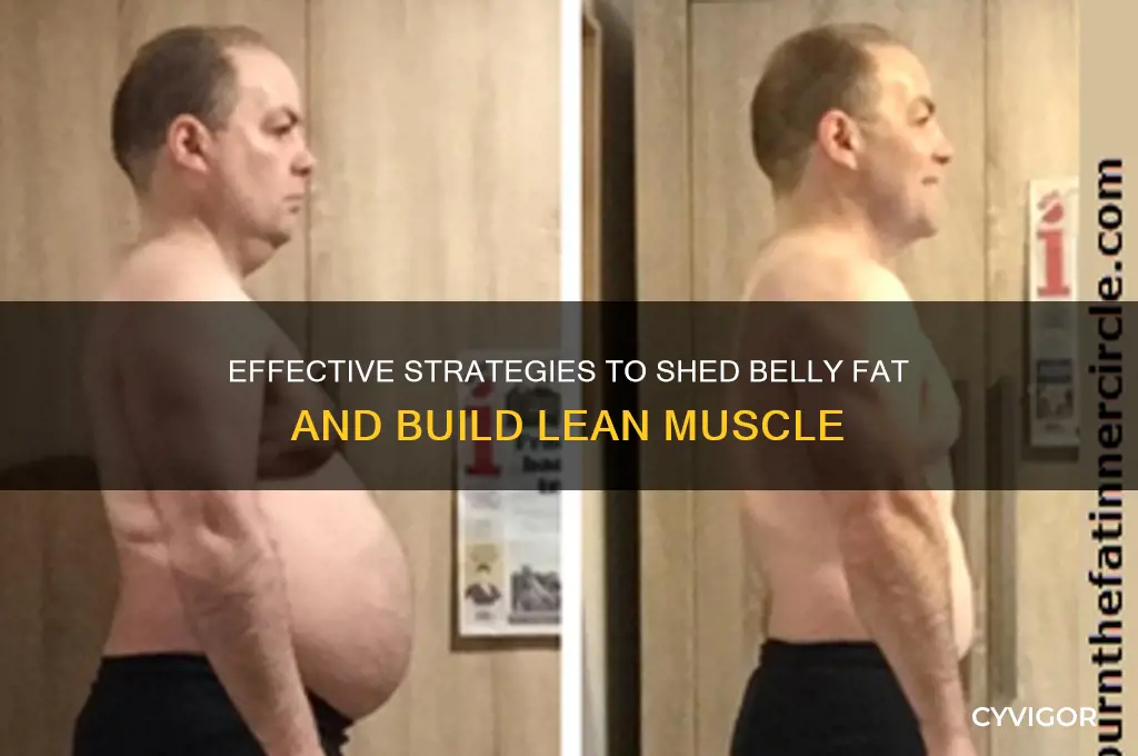 how lose belly fat and gain muscle