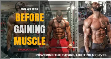 Optimal Rep Range: How Low Should You Go for Muscle Gain?