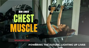 Building a Lower Chest: Techniques for a Fuller Look