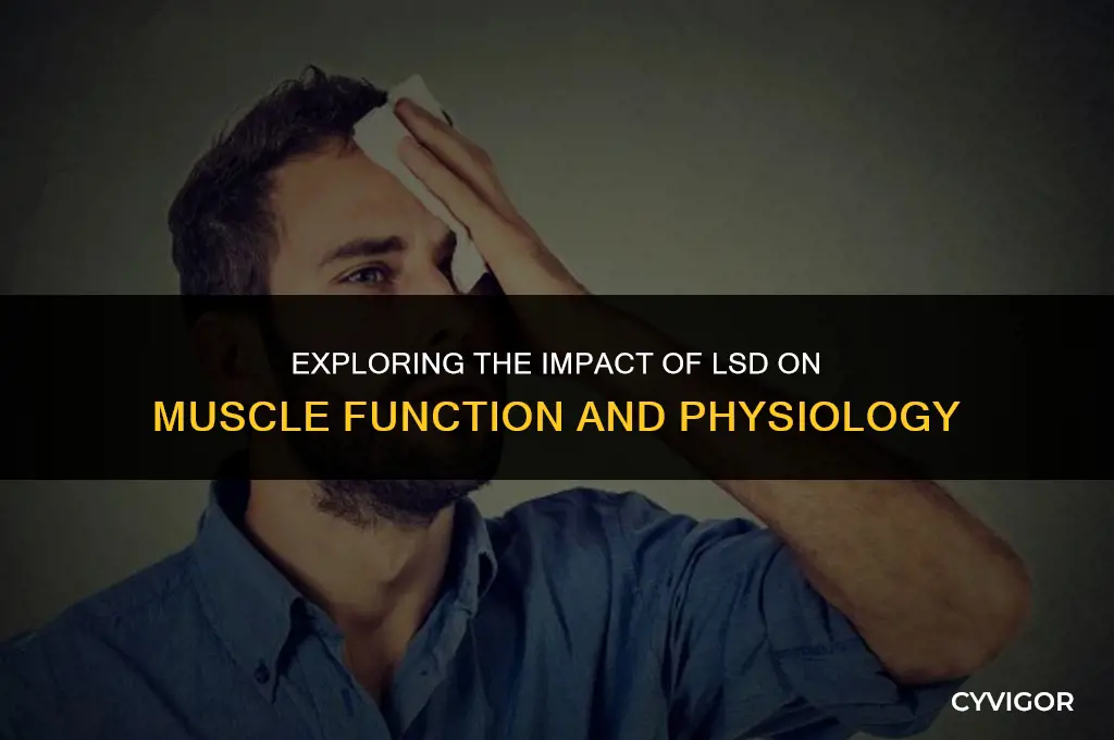 how lsd affects muscles