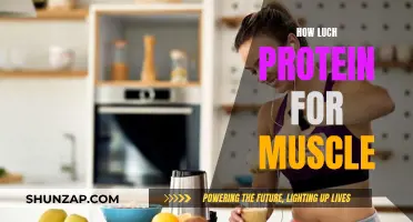 Building Muscle: Understanding Your Protein Requirements