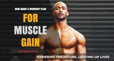 Effective Workout Plan Strategies for Optimal Muscle Gain Results