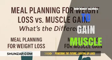 Calorie Intake Guide: Fueling Muscle Growth Effectively and Sustainably