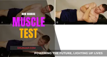 Mastering the Art of Manual Muscle Testing