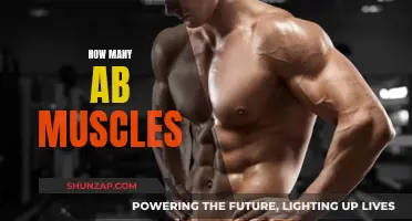 The Secret to Unlocking Your Abdominal Muscles