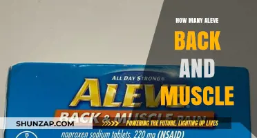 Relief in Every Dose: Aleve Back and Muscle Pain Management