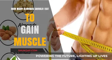 Almonds for Muscle Gain: Optimal Daily Serving Size Guide
