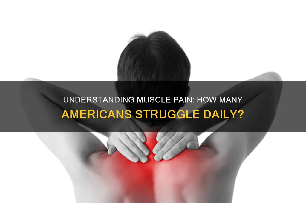 how many americans deal with muscle pain