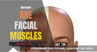 Exploring the Intricacies of Our Many Facial Muscles