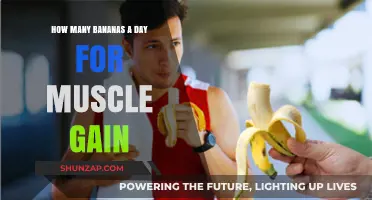 Bananas for Muscle Gain: Optimal Daily Intake Explained