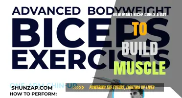 Daily Bicep Curl Routine: Sculpting Strong Arms with Consistency