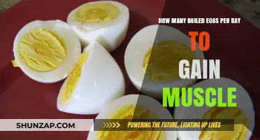 Boiled Eggs for Muscle Gain: Optimal Daily Intake Guide
