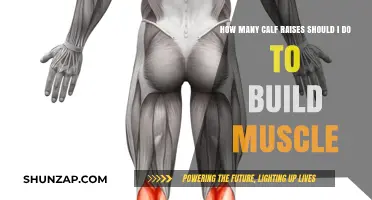 Sculpting Strong Calves: The Ultimate Guide to Effective Calf Raises