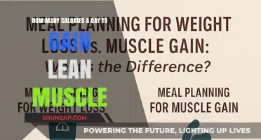Optimal Daily Calorie Intake for Building Lean Muscle Mass