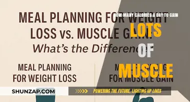Maximize Muscle Growth: Daily Calorie Intake for Optimal Gains