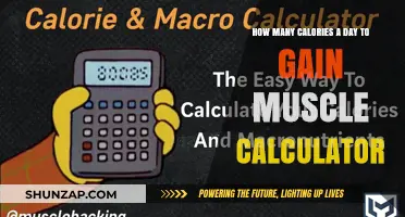 Calculate Daily Calorie Intake for Effective Muscle Gain Strategies