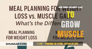 Fuel Your Muscle Growth: Daily Calorie Intake Guide