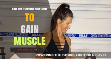 Caloric Surplus for Muscle Gain: How Much Above BMR?