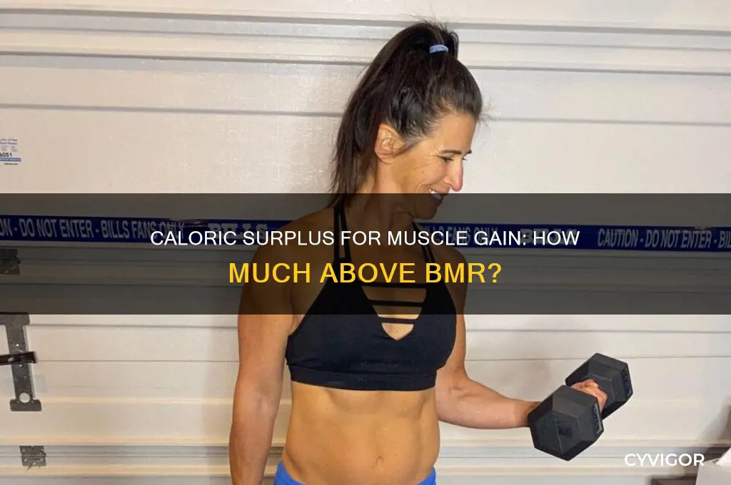 how many calories above bmr to gain muscle