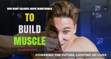 Fuel Your Gains: The Optimal Caloric Surplus for Muscle Building