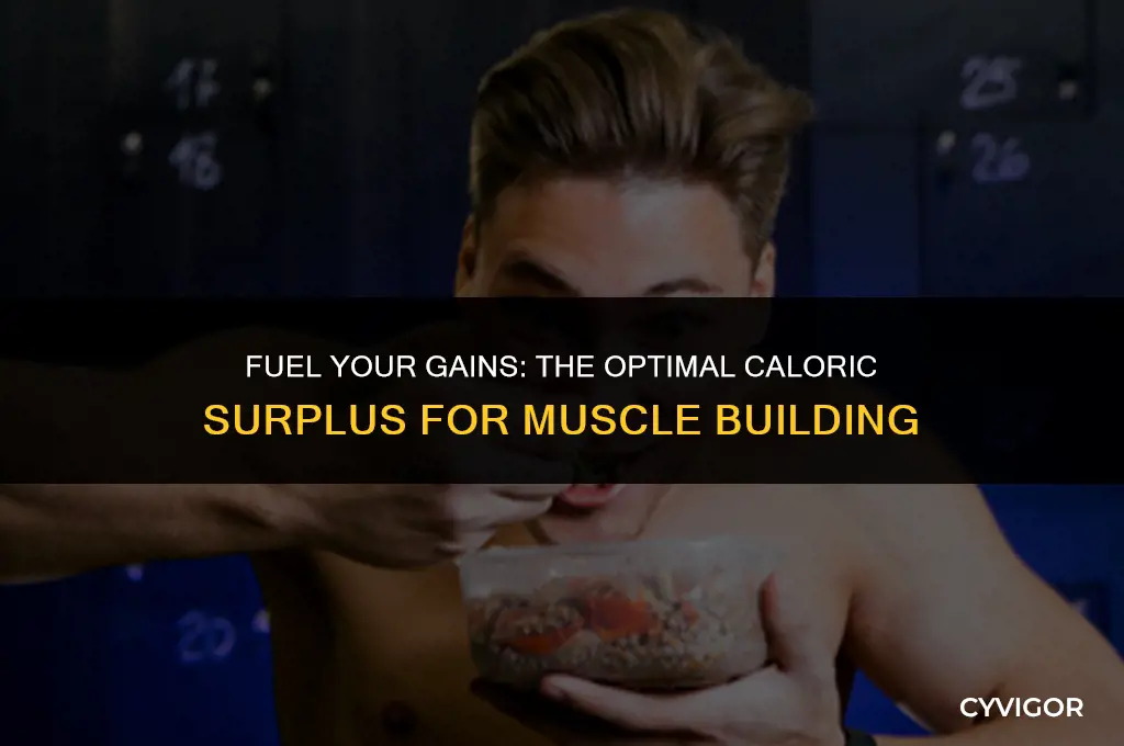 how many calories above maintenance to build muscle