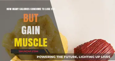 Calorie Secrets: Shed Fat, Build Muscle Effectively and Sustainably