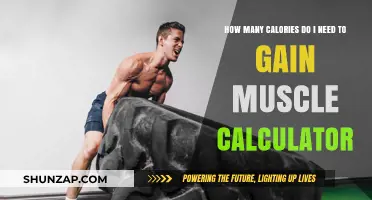 Calculate Your Muscle Gain Calorie Needs: A Simple Guide