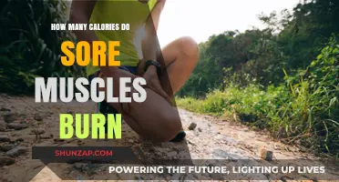 Sore Muscles and Calorie Burn: Unraveling the Post-Workout Mystery