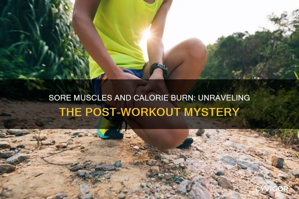 how many calories do sore muscles burn