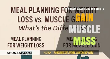 Calories for Muscle Gain: Essential Intake for Mass Building