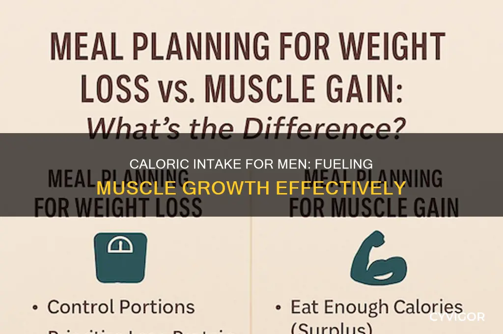 how many calories does a man need to gain muscle