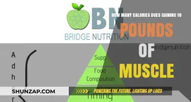 Building Muscle: Caloric Surplus for 10 Pounds of Muscle Gain