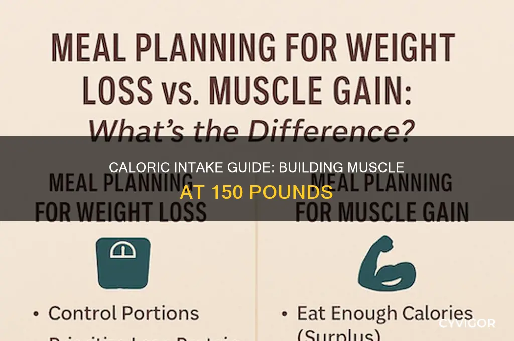 how many calories for 150 pound to gain muscle