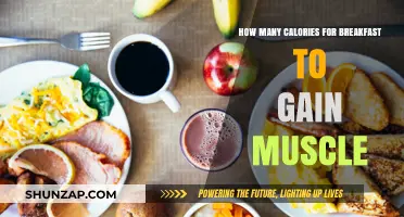 Fuel Your Muscle Growth: Optimal Calorie Intake for Breakfast