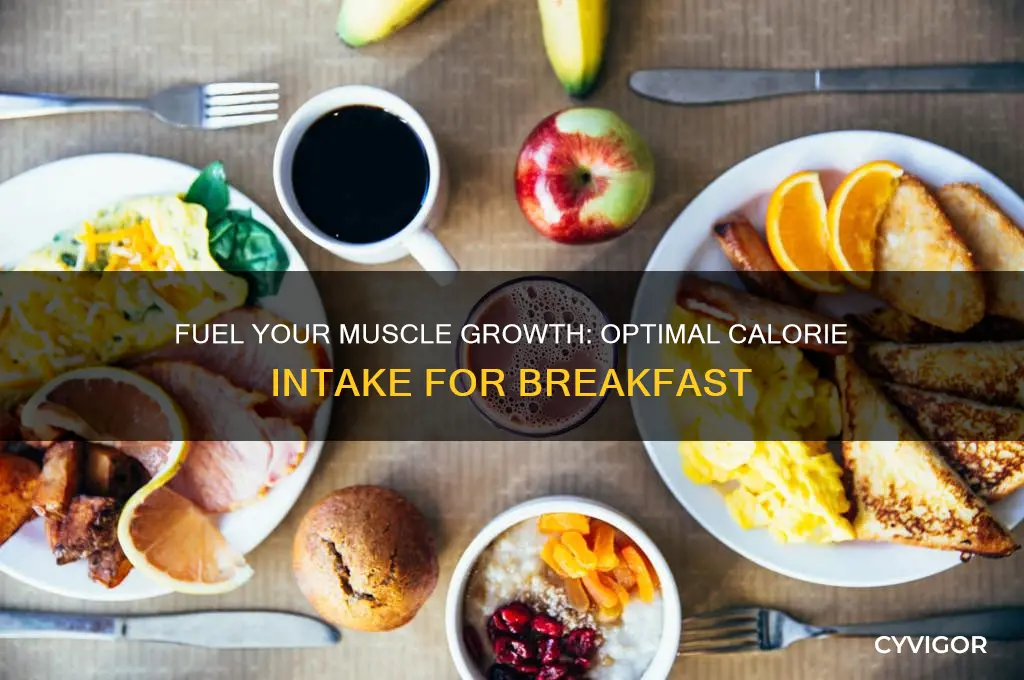 how many calories for breakfast to gain muscle