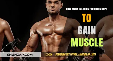 Ectomorph Muscle Gain: Optimal Calorie Intake for Effective Results