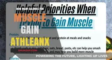Calorie Intake Secrets for Muscle Gain with Athlean-X